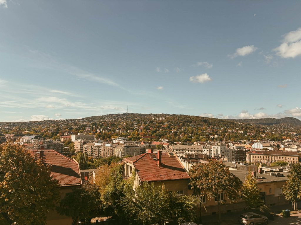 Buda Castle Promenade Town View Buda Castle Promenade Town View