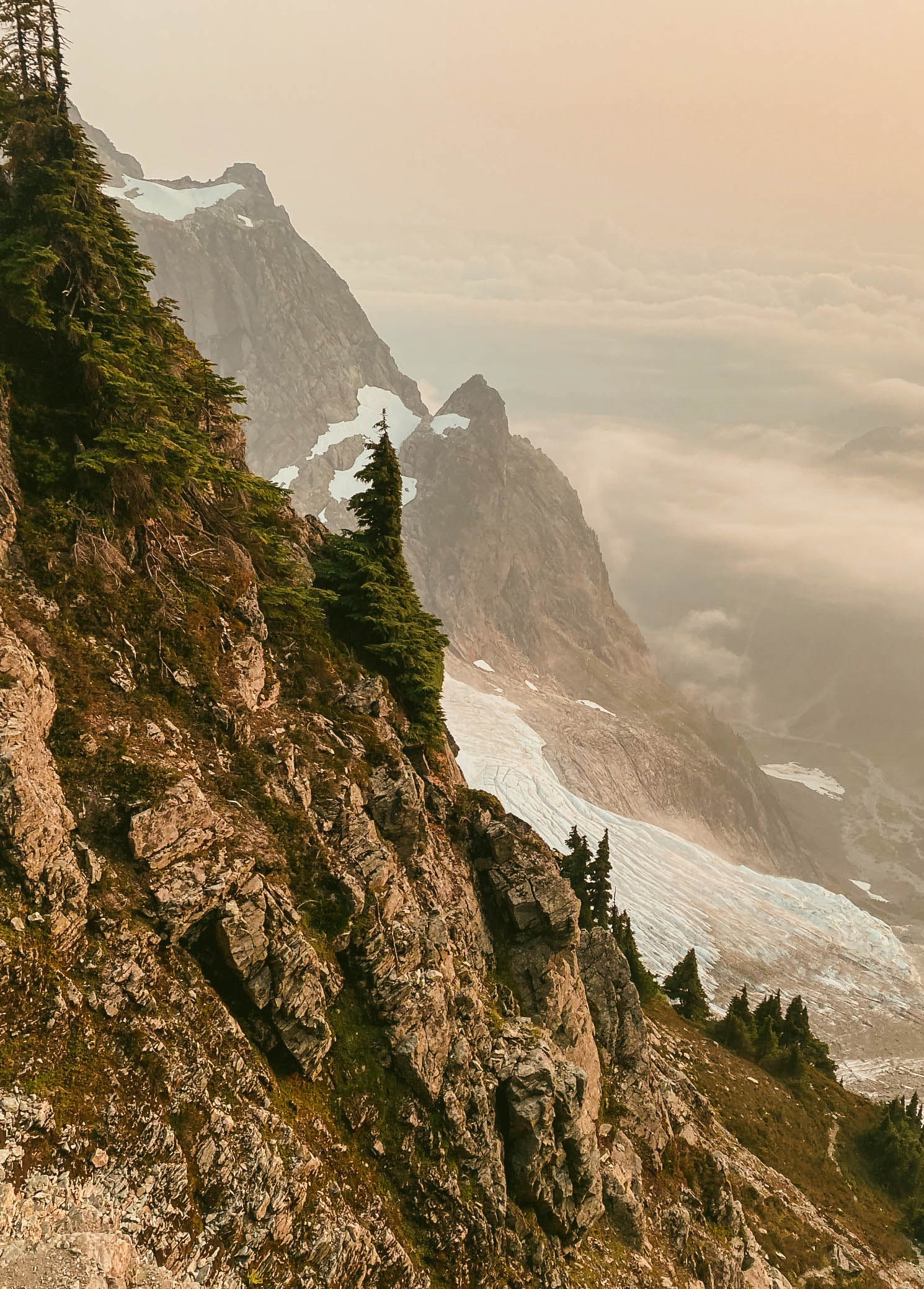 View of Mountainside Forest 