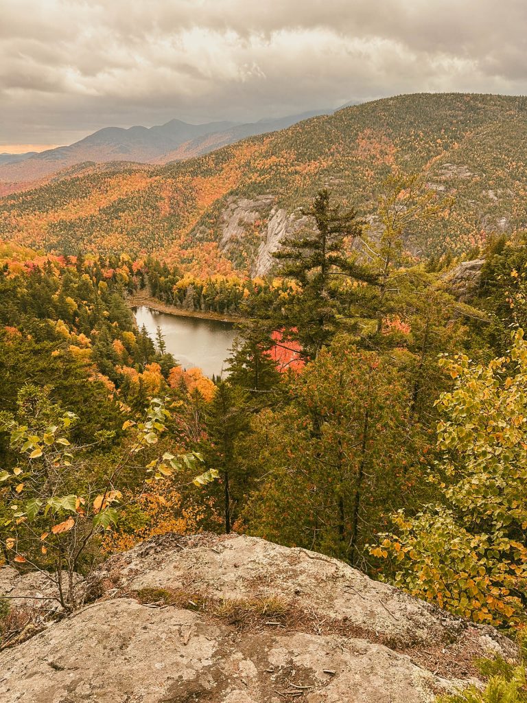 View of forest mountain landscape
