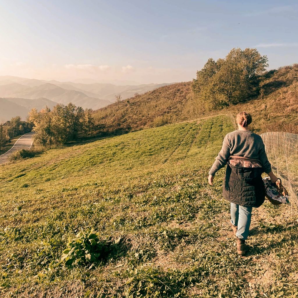 woman walking saffron fields in italian countryside