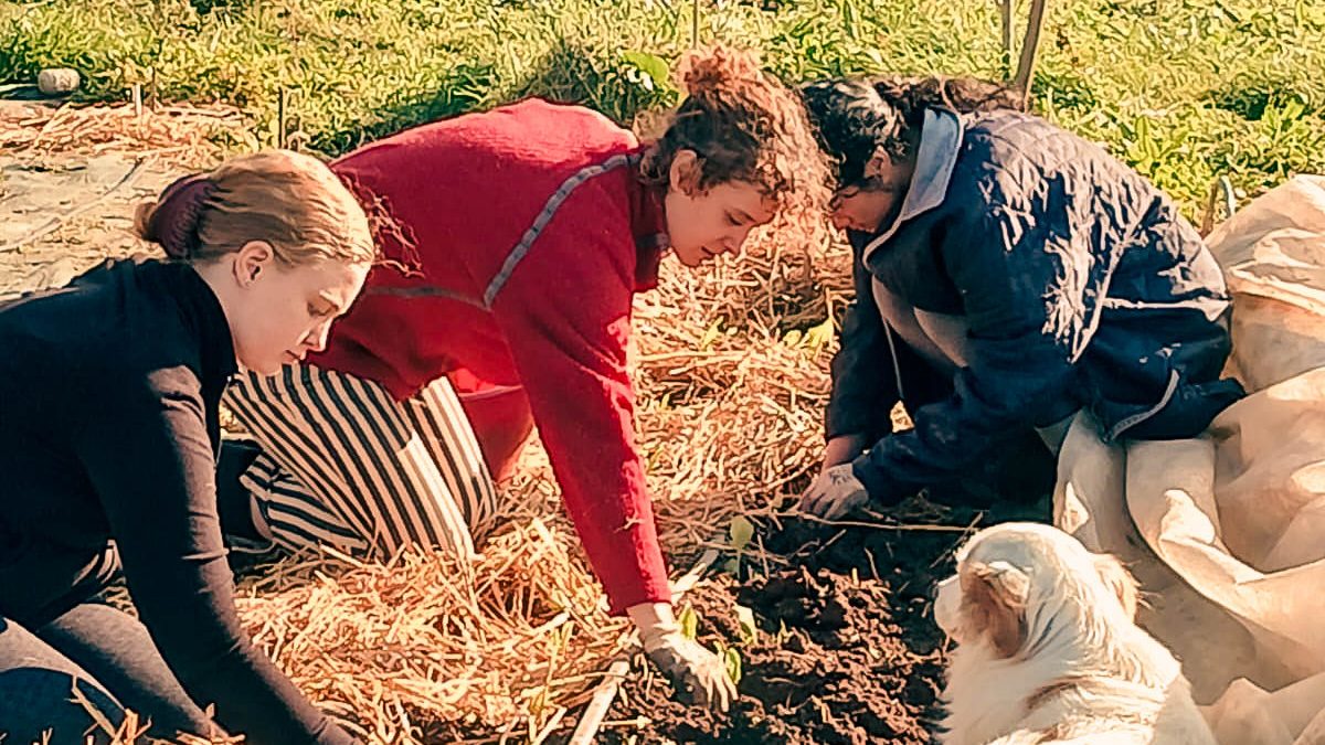 women working in a field in italy