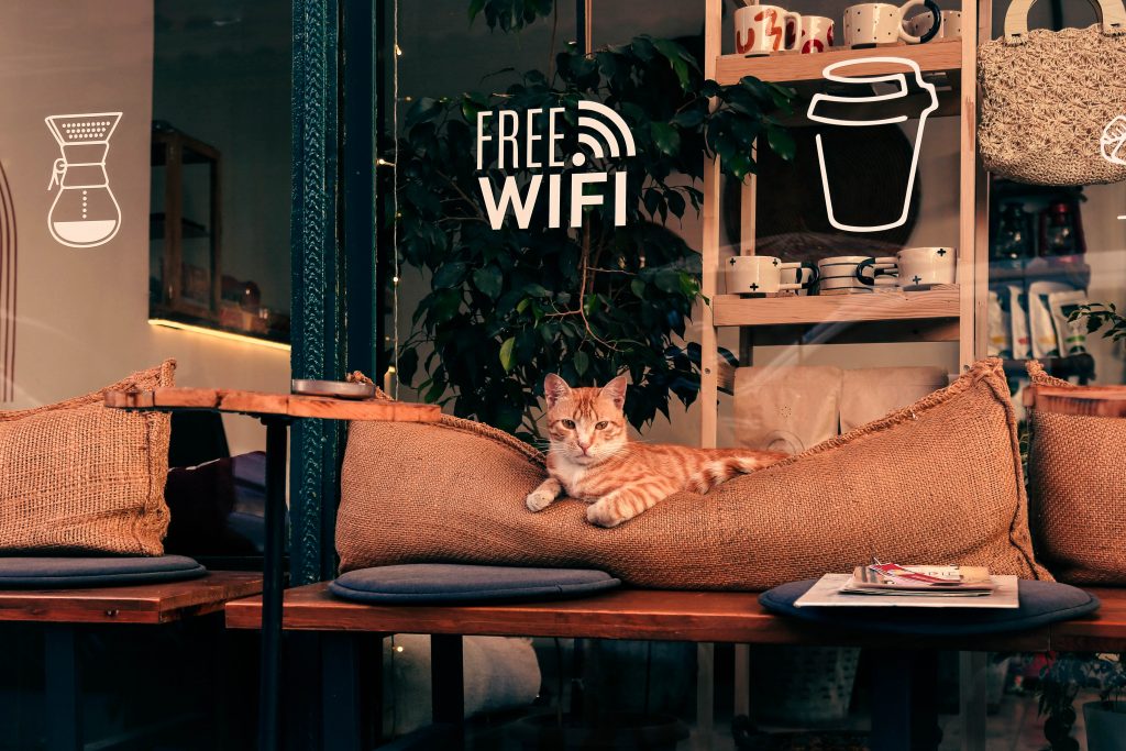 Free Wi-Fi sign at cafe with cat