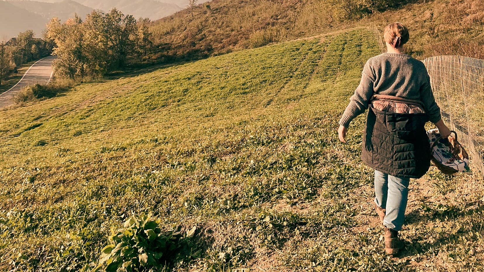 woman walking saffron fields in italian countryside