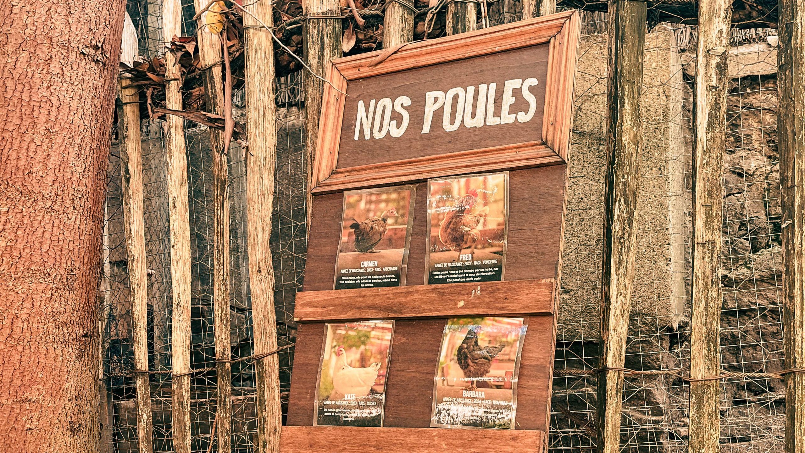 7 Affordable Things to Do Solo in Paris photo of la recyclerie chickens board