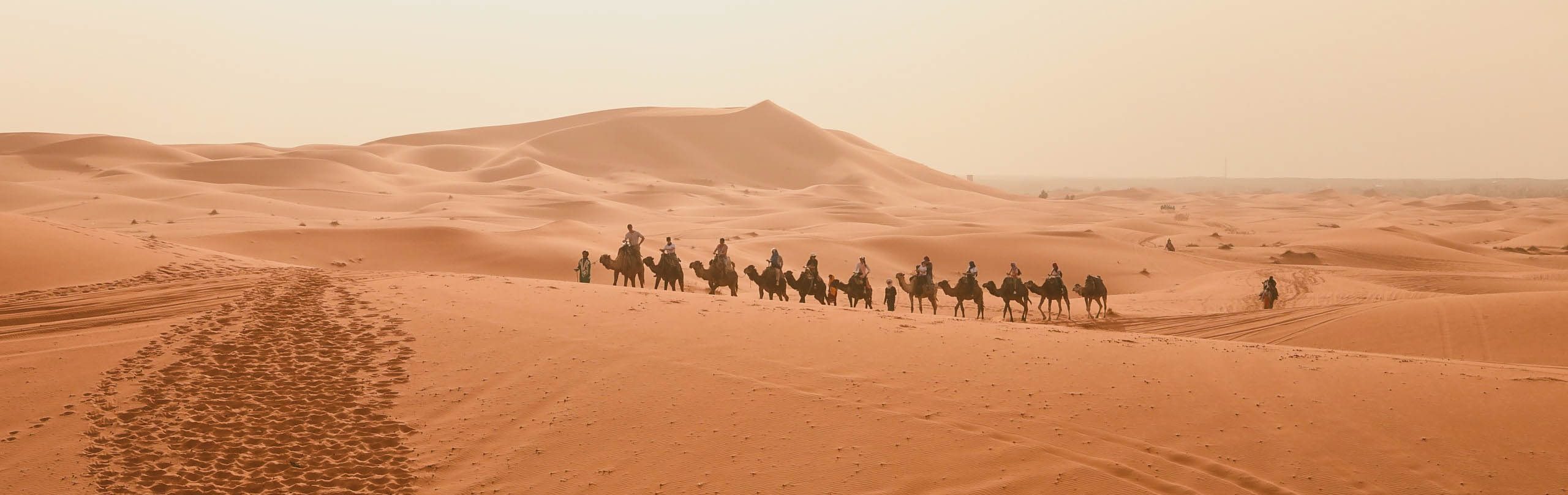 Camels Walking Through Desert