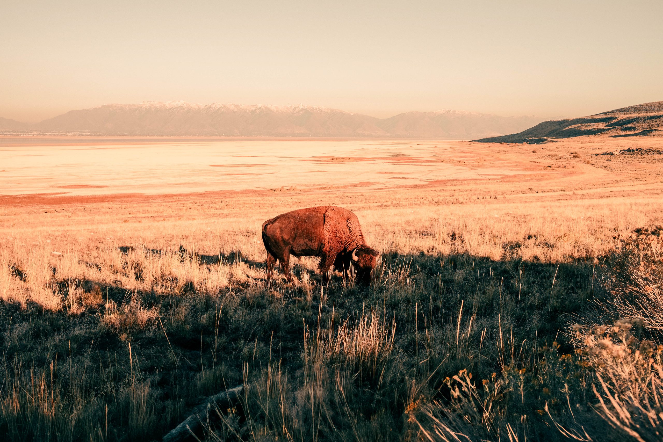 USA elle atlas travel usa pexels 25